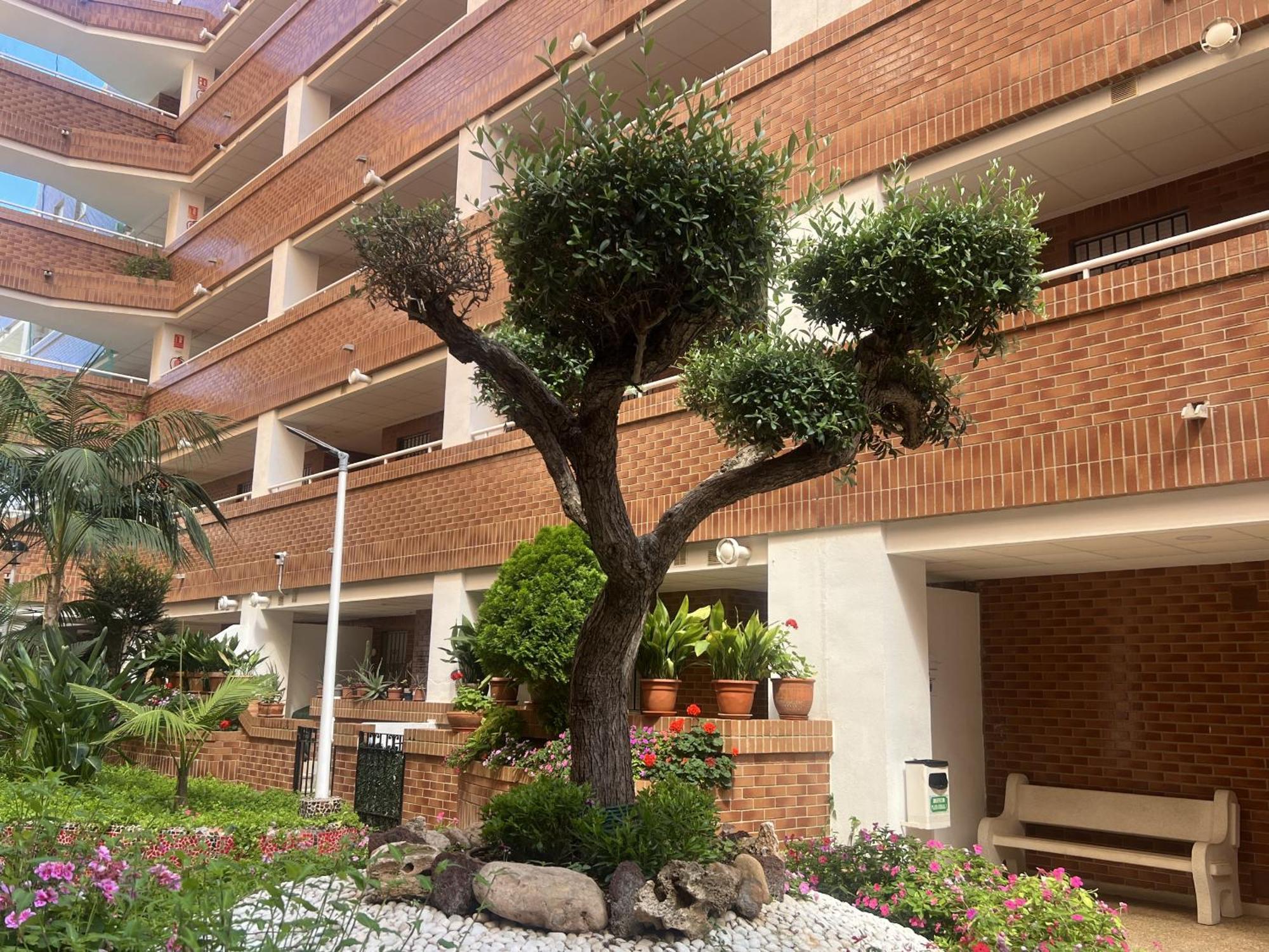Apartamentos Marina Park Oropesa del Mar Luaran gambar